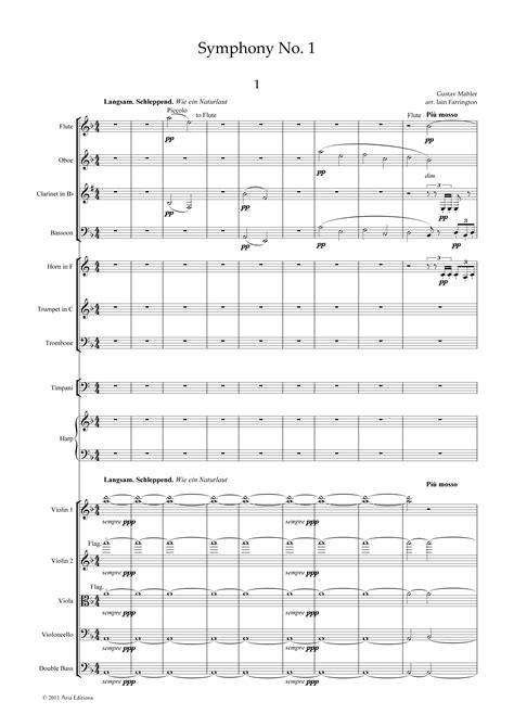 Mahler Score