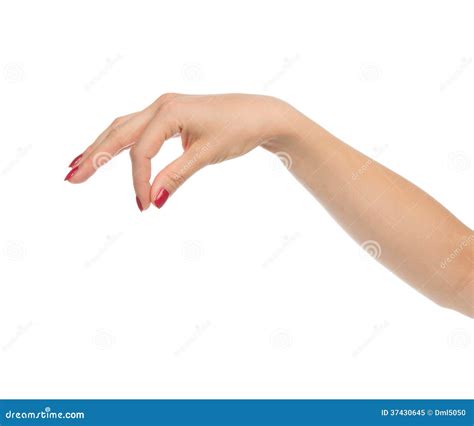 Woman Hand Hold Sign Virtual Business Card Stock Image Image Of