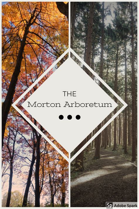 Morton Arboretum