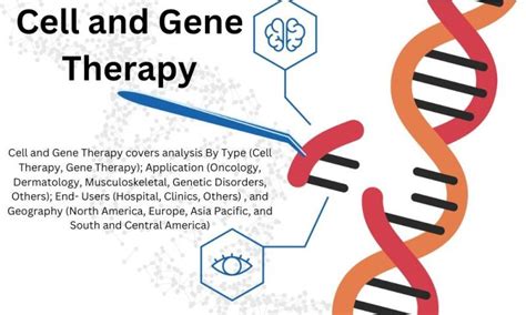 Gene Therapy Market Forecast 2024 2030