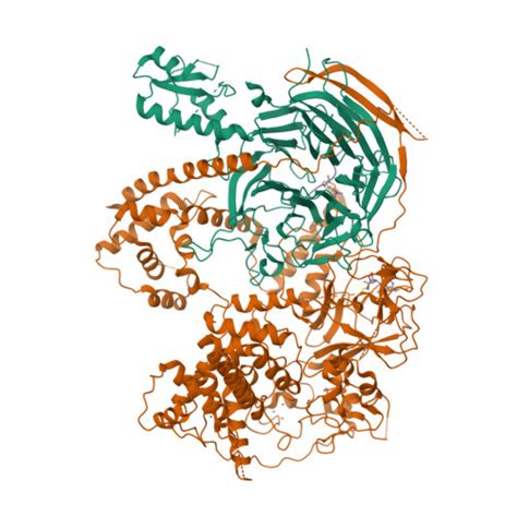 Gene P68431 | Protein H3C1,H3C2,H3C3,H3C4,H3C6,H3C7,H3C8,H3C10,H3C11 ...