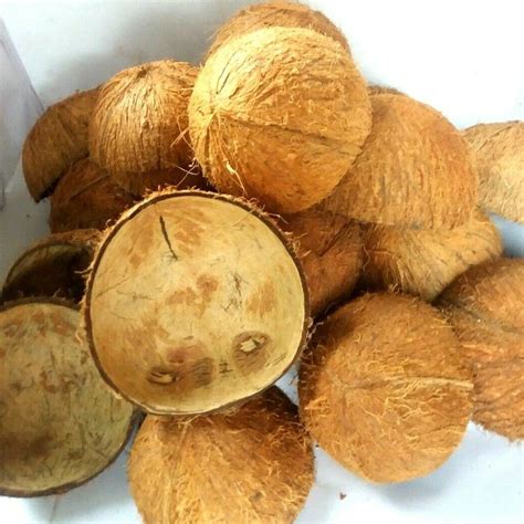 Coconut Shell Halves Thesha Ceylon