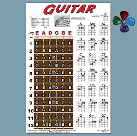 STRING LAP Steel Guitar Chart Poster C6 Tuning Notes, 51% OFF