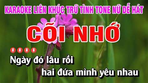 Karaoke Liên Khúc Trữ Tình Tone Nữ Nhạc Sống Dễ Hát Cõi Nhớ Nguyễn