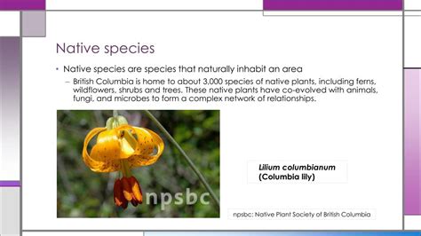 Ppt How Introduced Species Affect Ecosystems Powerpoint Presentation Id 2382107