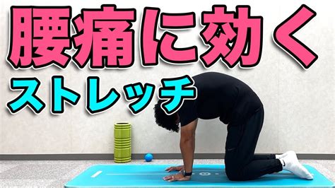 【腰痛に効くストレッチ】腰痛の方、腰痛の予防にオススメのストレッチ！ Youtube