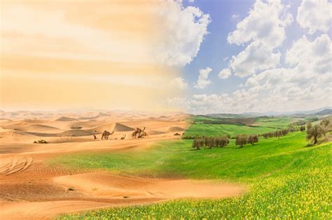 Desertification Process Stock Photo - Download Image Now ...