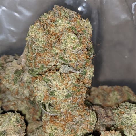 Buy Bulk Peaches Crescendo Strain Cheap Weed Pounds And Reviews