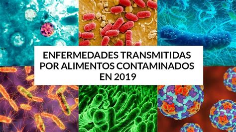 Top Enfermedades Transmitidas Por Alimentos Flow Chem