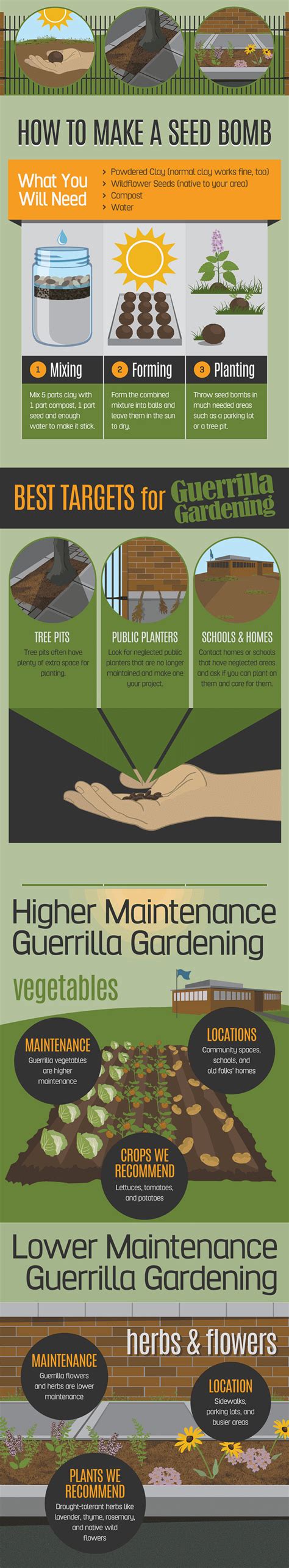 Infographic The Ultimate Guide To Guerrilla Gardening