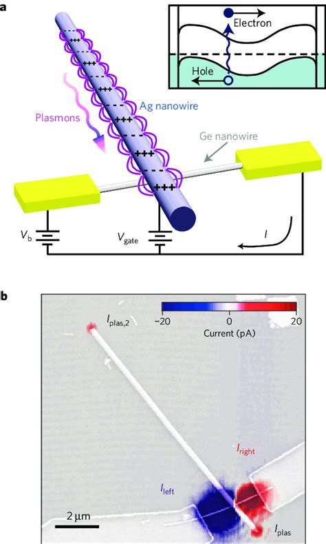 Electrical Plasmon Detection A Schematic Diagram Of Electrical