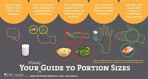 Handy Guide To Portion Sizes Health Mil