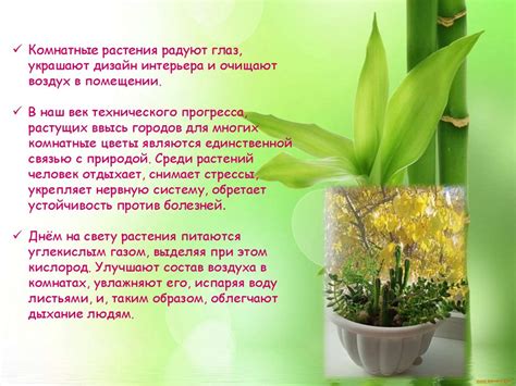 Цветущая школа - презентация онлайн