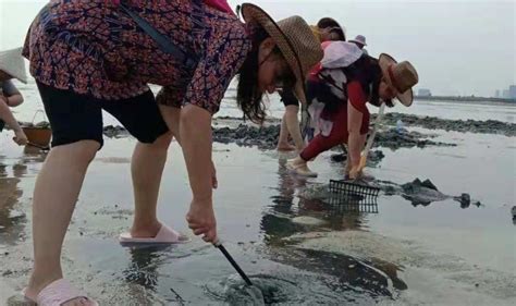 红树林西门赶海门票预订红树林西门赶海门票价格红树林西门赶海门票多少钱【同程旅行】