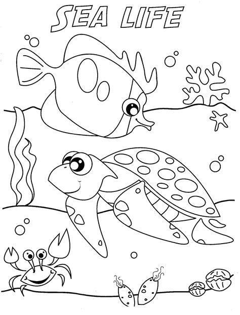 Free Ocean Animals Coloring Pages Web Find And Download Free Graphic