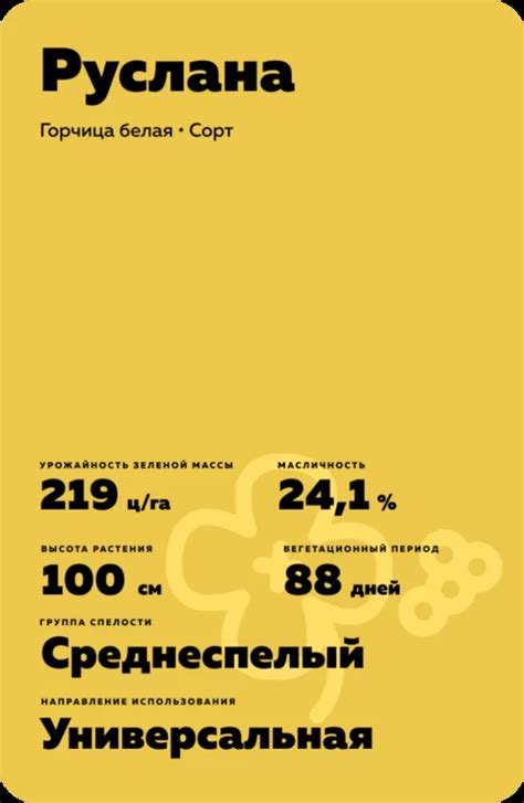 Руслана - горчица белая. Характеристики и отзывы