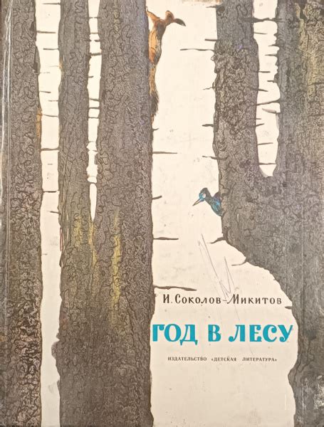 Год в лесу - купить с доставкой по выгодным ценам в интернет-магазине ...
