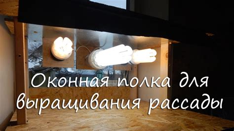 Оконная полка для выращивания рассады - YouTube