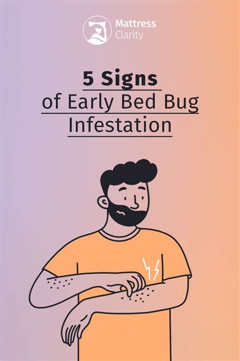 How To Identify Early Signs Of Bed Bugs Artofit