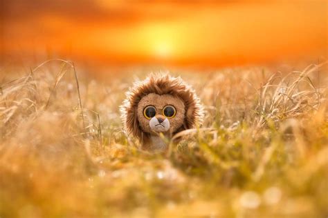 Top 999 Beanie Boos Wallpapers Full Hd 4k Free To Use