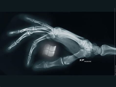Radiology Wallpapers Wallpaper Cave
