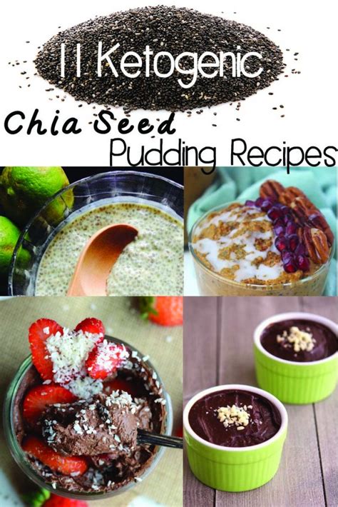 11 Ketogenic Chia Seed Pudding Recipes Primal Edge Health