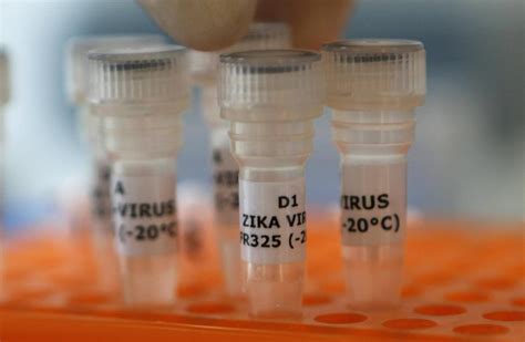 Virus Zika In Texas Primo Casi Di Infezione Per Via Sessuale MeteoWeb