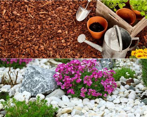 Mulch Vs Rock Everything That You Need To Know