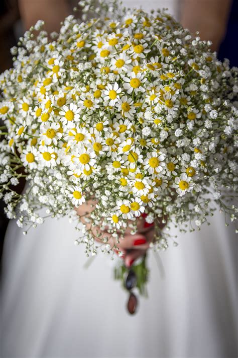 Fotografo De Boda Granada Fotografo De Boda Consejos Para Elegir Tu