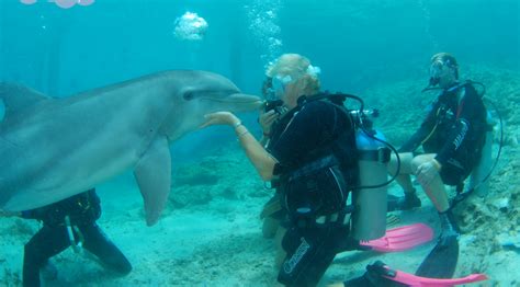 Scuba Diving with Dolphins in Mexico