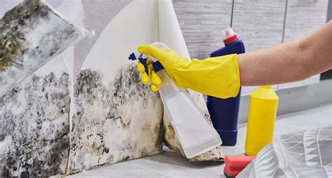 Removing Mold From Basement Floor – Flooring Tips