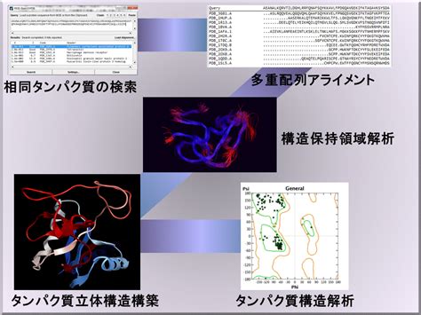 Moe 機能詳細 タンパク質核酸ペプチドモデリング Molsis Inc