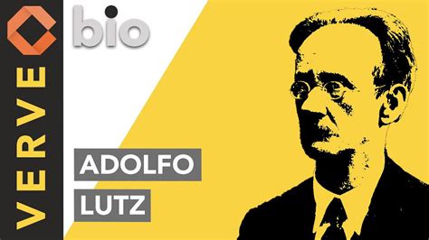 O Combate As Epidemias No Brasil Reda O Pronta