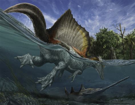 Spinosaurus Current Biology