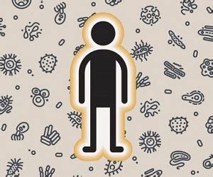Лучший детокс-смузи для очищения печени - health info