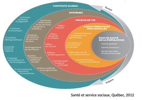 Cours D Terminants Sociaux Mod Les Flashcards Quizlet