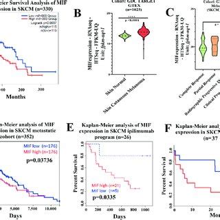 High Mif Expression Correlates With Poor Overall Survival In Melanoma