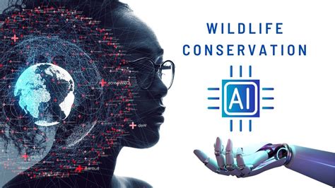 Ai And Wildlife Conservation How Algorithms Are Helping To Protect