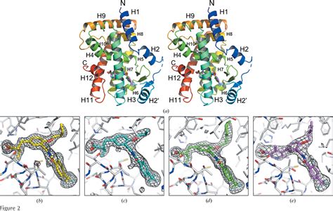 Figure 1 From Crystal Structures Of The Ligand Binding Domain Of Human