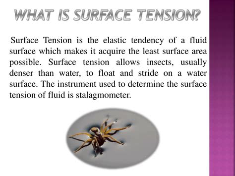 Ppt Surface Tension Powerpoint Presentation Free Download Id8268823