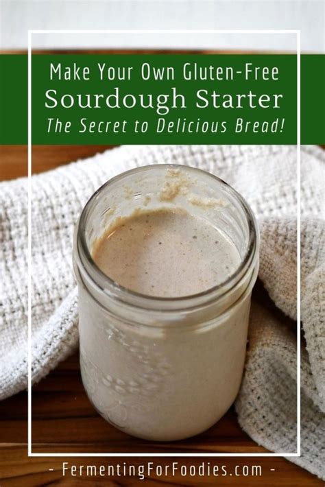 Gluten Free Sourdough Starter Fermenting For Foodies