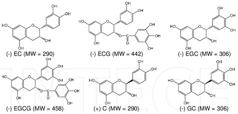 Chemical Structures Of Catechins In Green Tea Redrawn From [4] Download Scientific Diagram