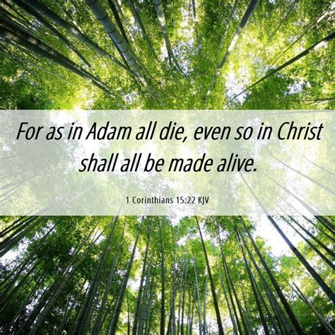 1 Corinthians 15:22 KJV - For as in Adam all die, even so in Christ shall