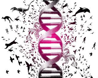 Biología: Biología evolutiva