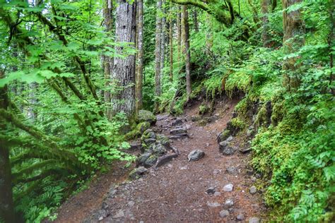 Rattlesnake Lake Recreation Area Cedar Falls Rd Se North Bend Wa