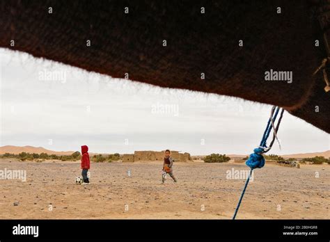 Morocco, surrounding of Taouz, daily life Stock Photo - Alamy