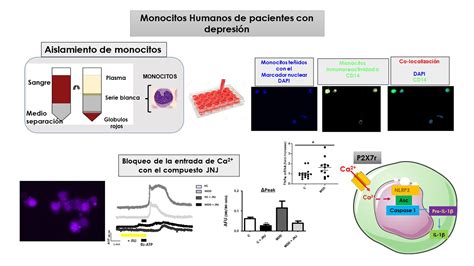 Encuentran Un Incremento De Biomarcadores De Inflamación En Pacientes