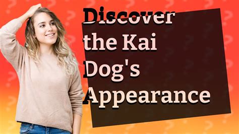What does a Kai dog look like? - YouTube