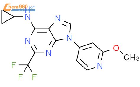 H Purin Amine N Cyclopropyl Methoxy Pyridinyl