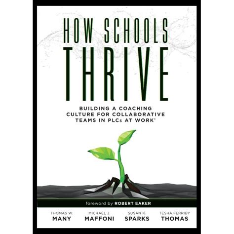How Schools Thrive – Learning Network NZ